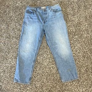 Everlane 90s Cheeky Crop Jeans